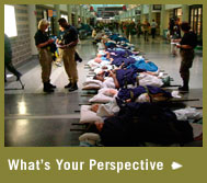 Patients on cots in airport terminal