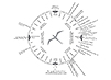 In this chart, a circle encloses a bird. Constellations, directions, and sunsets at different times of year are listed around the circle.