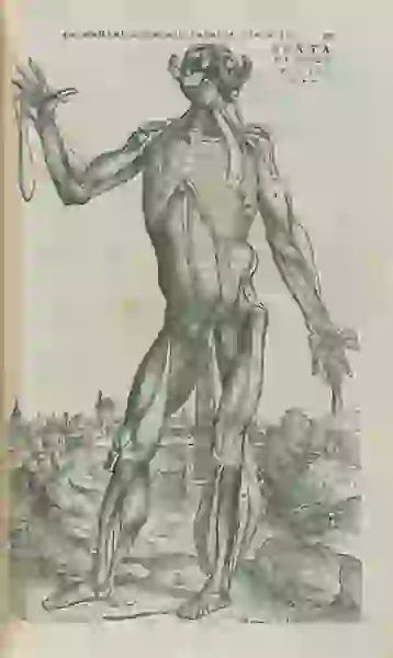 Standing nude male in landscape. Skin is flayed, exposing insides, and head thrown back