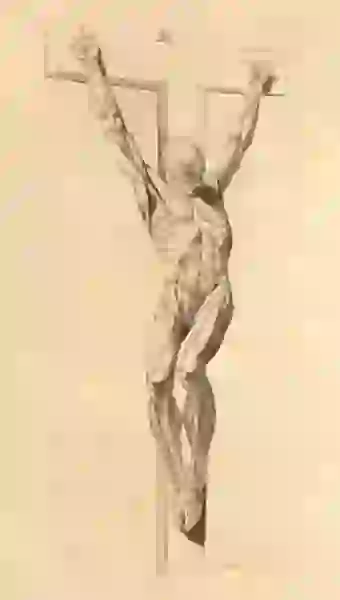 An anatomical Christ on the cross, displayed to show musculature