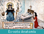 Ex-voto Anatomía