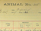 Page from a ledger with printed headers, lined columns and rows, and handwritten notations.