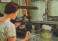 A woman seated at a laboratory bench examines a petri dish under a magnifying glass.  In the background a man examines an industrial fermentation tank.