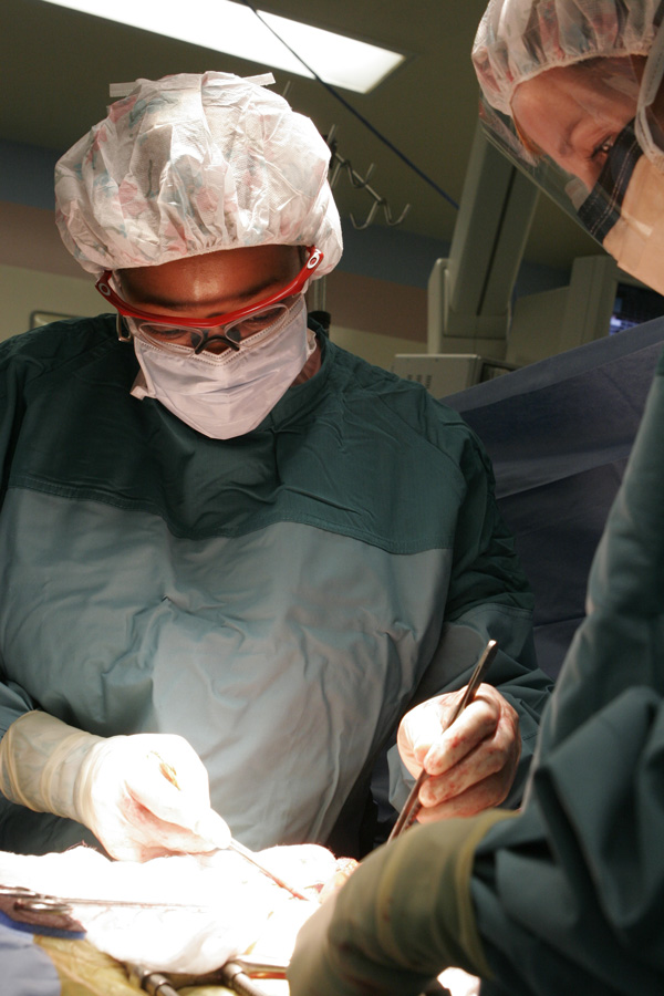 Two people working in a surgeon room.