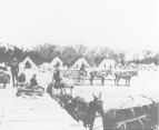 Troops are undergoing inspection and disinfection of baggage at the quarantine detention camp.