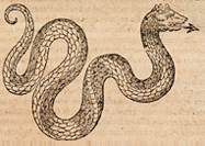 Illustration of a serpent with an arrow as a tongue.