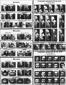 Bertillon poster of physical features