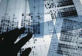 DNA testing for a murder investigation, 1987