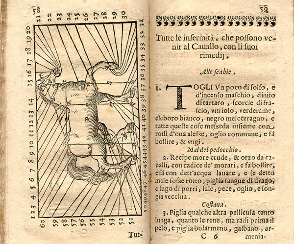 Open book showing on left a disease horse chart with lines leading from different parts of the horse’s body to numbers indexed on the facing text page