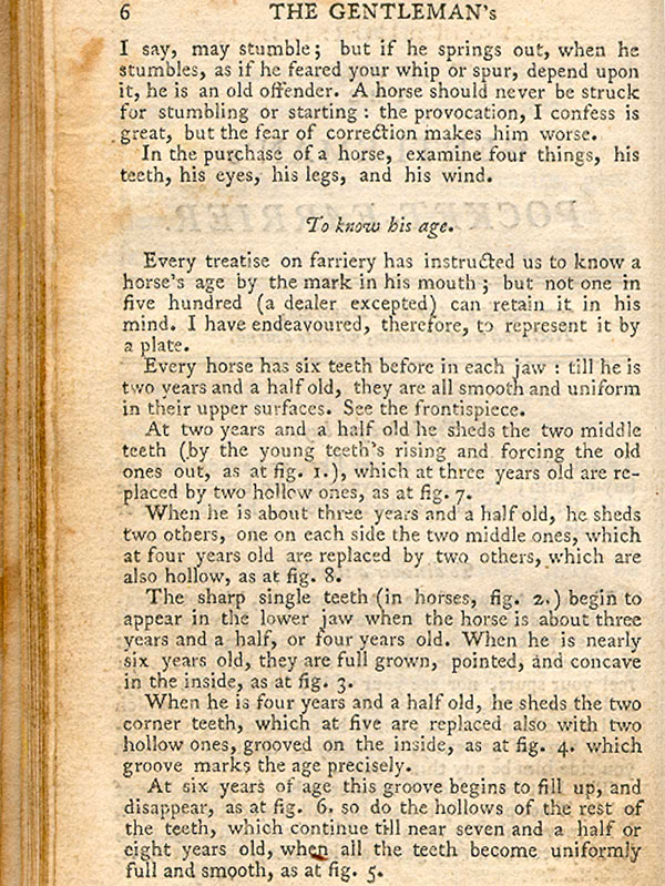 Page of text explaining how to determine a horse’s age by looking at its teeth