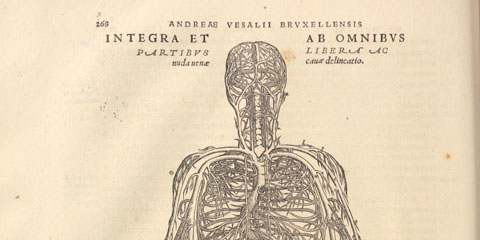 Woodcut human figure outline arms outstretched showing the branching pattern of the circulatory system.