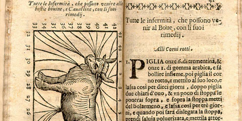 Book open showing on left a disease cow chart with lines leading from different parts of the horses body to numbers indexed on the facing text page.