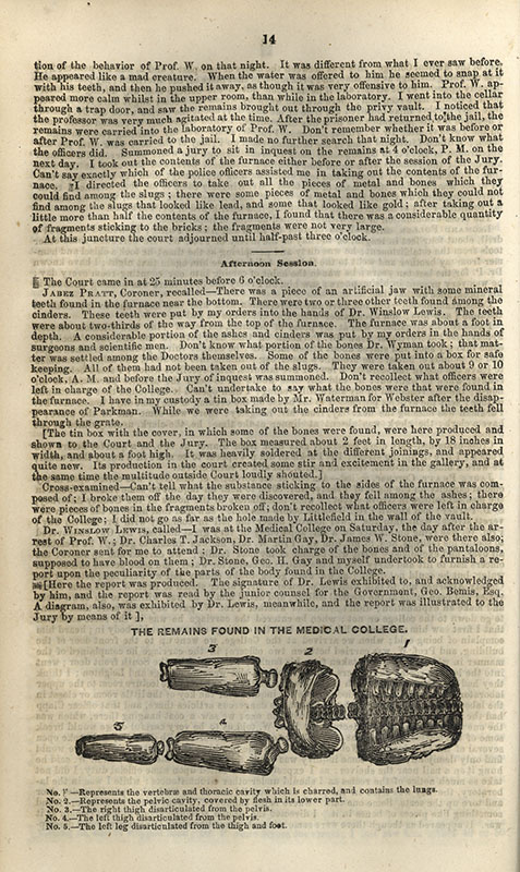 Page 14 of a pamphlet, detailing a section of trial transcript and an engraving of the remains found in the medical college which consisted of the torso and partial legs of a body.