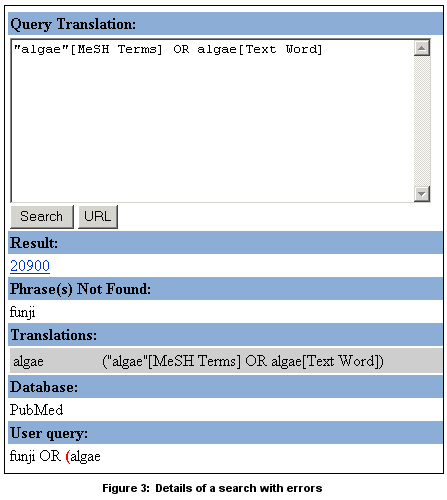 Figure 3: Pilot Health Services Research (HSR) Filters for Searching PubMed Home Page