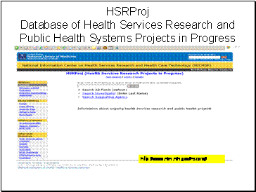 Screen Shot of http://www.nlm.nih.gov/hsrproj/