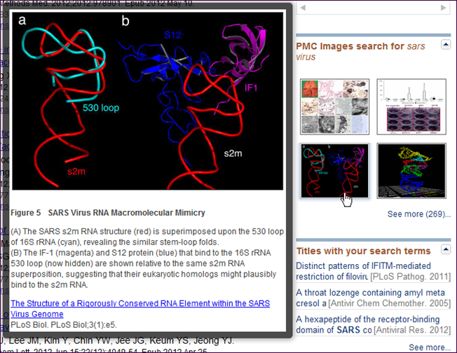 Screen capture of Mouseover for the PubMed "Results by year" timeline tool