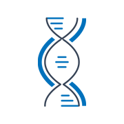 rows of DNA helices