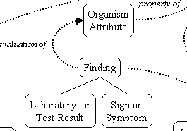 click to see a portion of the Semantic Network